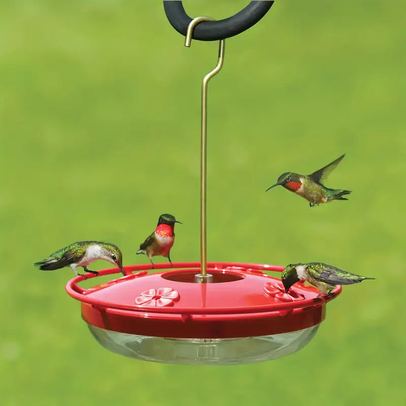 Hummingbird Feeder