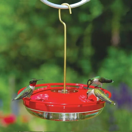 Hummingbird Feeder