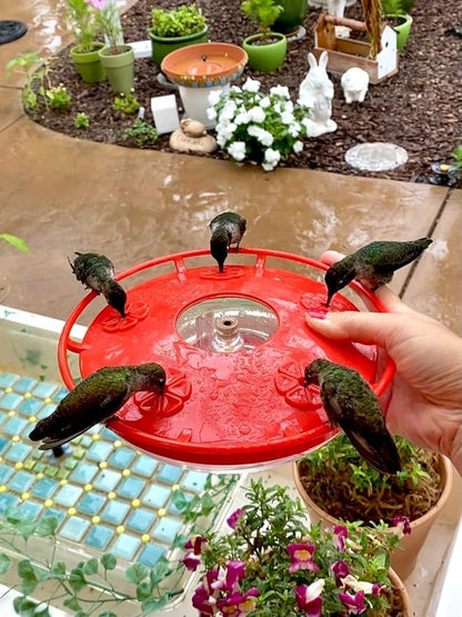 Hummingbird Feeder